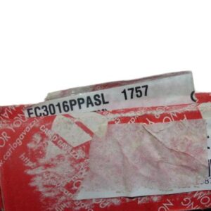 CARLO GAVAZZI EC3016PPASL